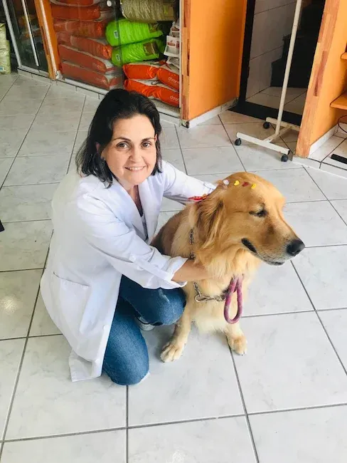 Atendimento veterinário na Uau Uau Que Mia